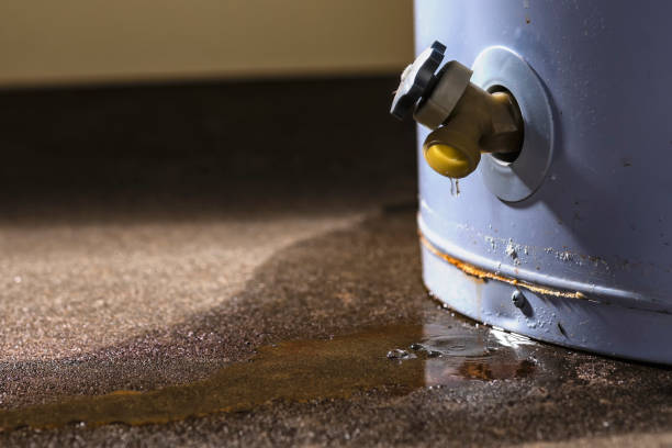 Best 24-hour water damage restoration  in Richmond Heights, OH