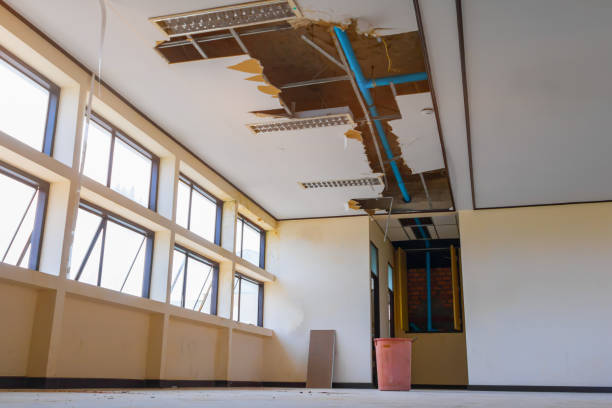 Best Residential water damage restoration  in Richmond Heights, OH