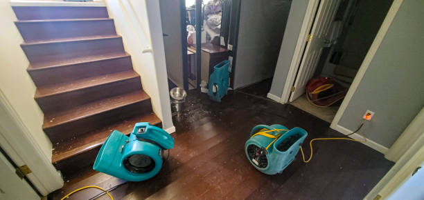 Best Local water damage restoration  in Richmond Heights, OH