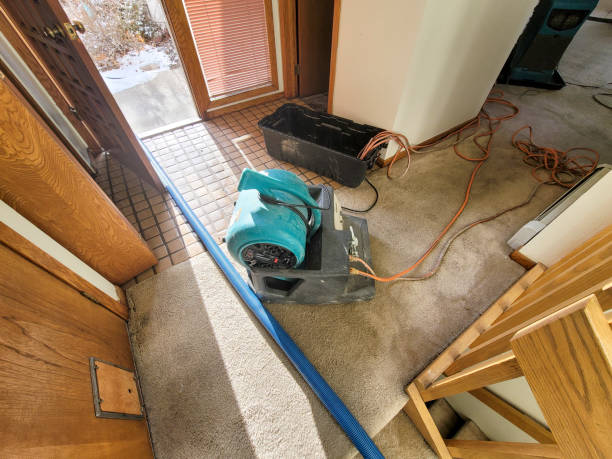 Best Water damage cleanup near me  in Richmond Heights, OH
