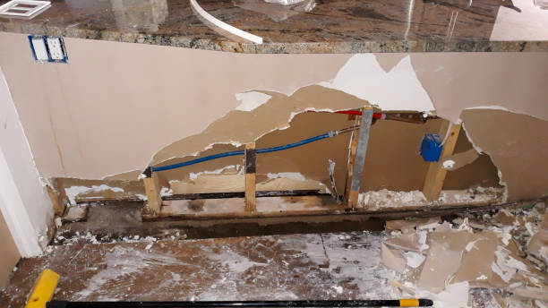 Best Flood damage cleanup  in Richmond Heights, OH