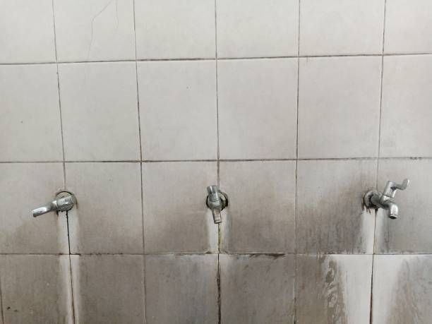 Best Flood damage cleanup  in Richmond Heights, OH