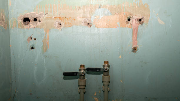 Best Mold removal after water damage  in Richmond Heights, OH