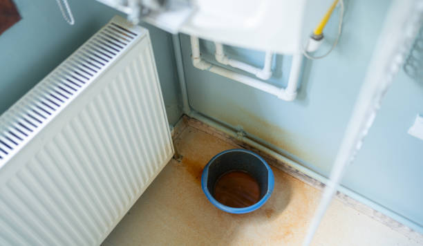 Best Flooded house restoration  in Richmond Heights, OH
